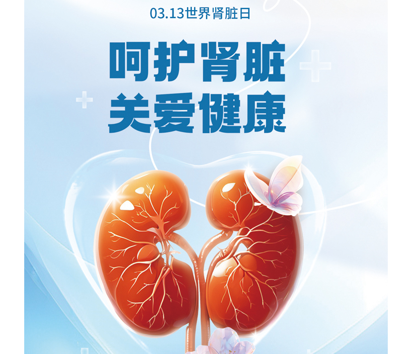 守护肾脏健康，从了解开始 —— 迎接世界肾脏日