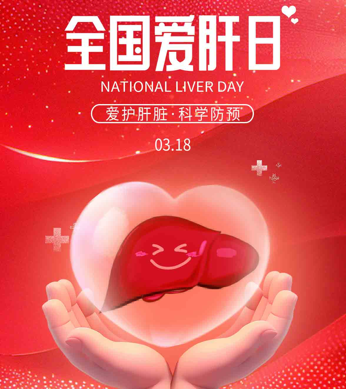 全国爱肝日 | 爱护肝脏，科学预防